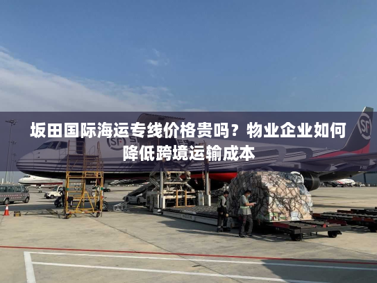 坂田国际海运专线价格贵吗？物业企业如何降低跨境运输成本