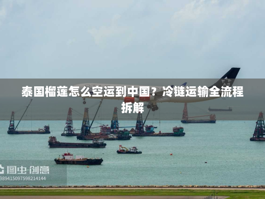 泰国榴莲怎么空运到中国?冷链运输全流程拆解 泰国榴莲怎么空运到中国?冷链运输全流程拆解
