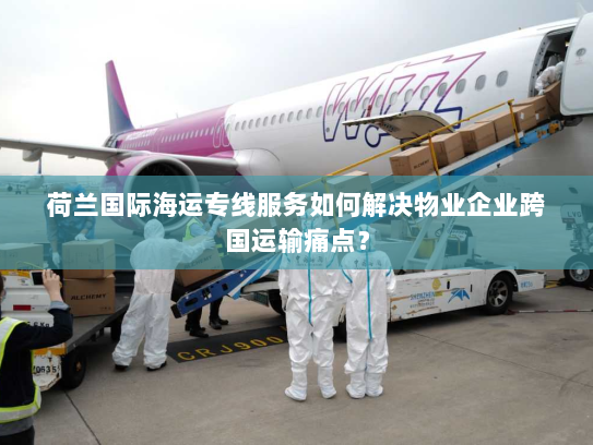 荷兰国际海运专线服务如何解决物业企业跨国运输痛点？