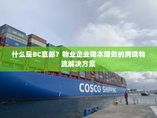 什么是BC直邮？物业企业降本增效的跨境物流解决方案