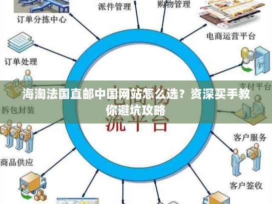 海淘法国直邮中国网站怎么选?资深买手教你避坑攻略 海淘法国直邮中国网站怎么选?资深买手教你避坑攻略