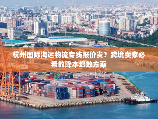 杭州国际海运物流专线报价贵?跨境卖家必看的降本增效方案 杭州国际海运物流专线报价贵?跨境卖家必看的降本增效方案
