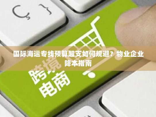 国际海运专线预算超支如何规避？物业企业降本指南