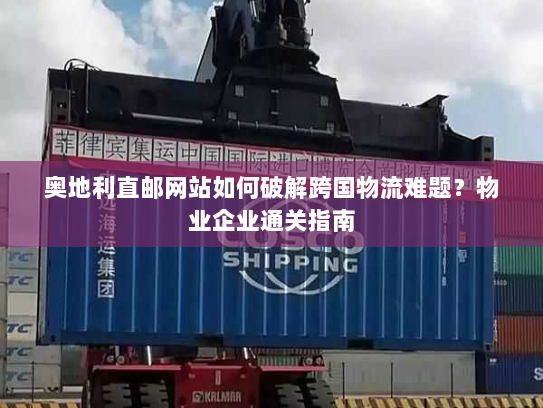 奥地利直邮网站如何破解跨国物流难题？物业企业通关指南