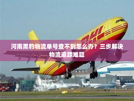河南黑豹物流单号查不到怎么办？三步解决物流追踪难题