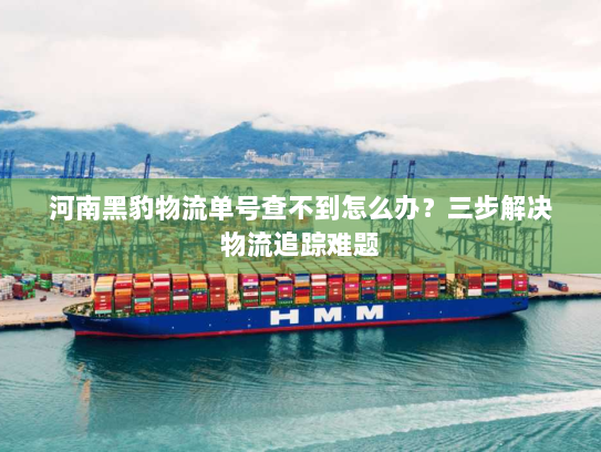 河南黑豹物流单号查不到怎么办？三步解决物流追踪难题