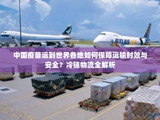中国疫苗运到世界各地如何保障运输时效与安全?冷链物流全解析 中国疫苗运到世界各地如何保障运输时效与安全?冷链物流全解析