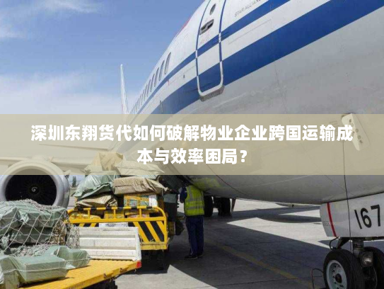 深圳东翔货代如何破解物业企业跨国运输成本与效率困局？