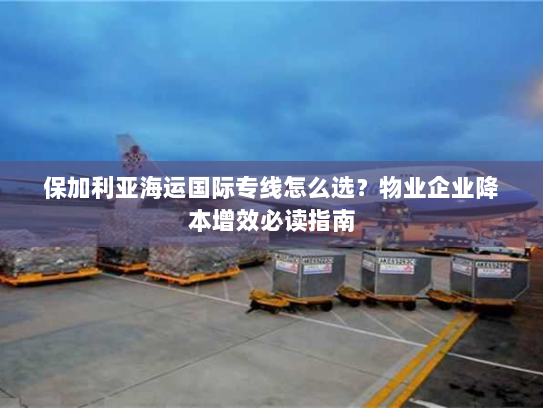 保加利亚海运国际专线怎么选?物业企业降本增效必读指南 保加利亚海运国际专线怎么选?物业企业降本增效必读指南