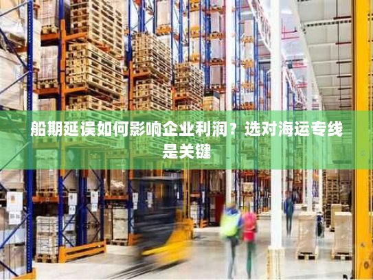 船期延误如何影响企业利润？选对海运专线是关键