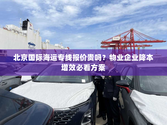 北京国际海运专线报价贵吗？物业企业降本增效必看方案