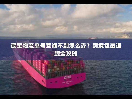 德军物流单号查询不到怎么办？跨境包裹追踪全攻略