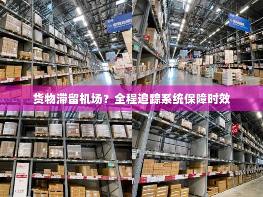 货物滞留机场?全程追踪系统保障时效 货物滞留机场?全程追踪系统保障时效