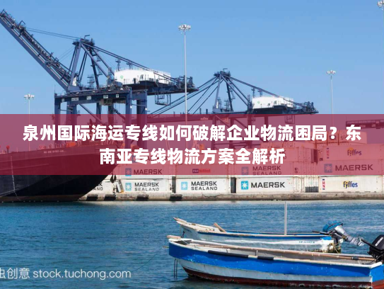 泉州国际海运专线如何破解企业物流困局？东南亚专线物流方案全解析
