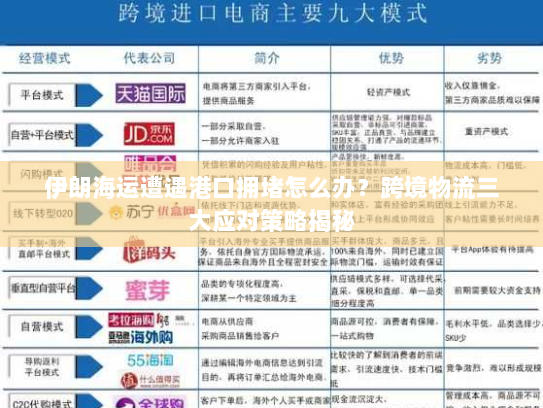 伊朗海运遭遇港口拥堵怎么办？跨境物流三大应对策略揭秘