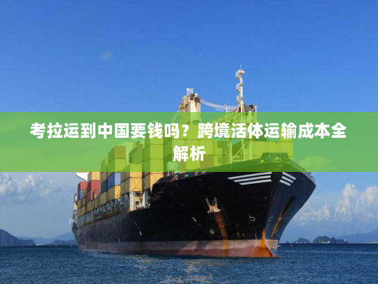 考拉运到中国要钱吗？跨境活体运输成本全解析
