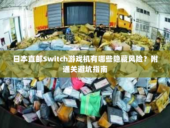 日本直邮Switch游戏机有哪些隐藏风险？附通关避坑指南