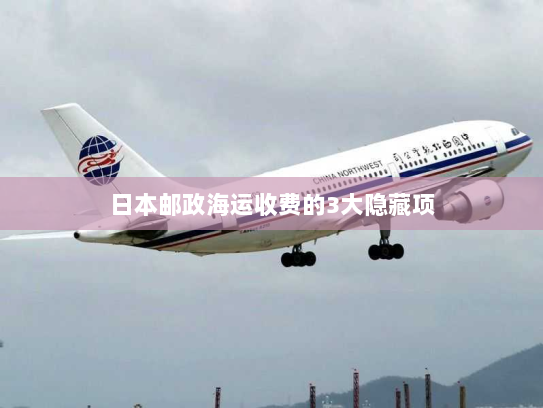 日本邮政海运收费的3大隐藏项 日本邮政海运收费的3大隐藏项