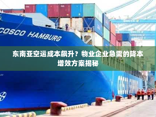东南亚空运成本飙升？物业企业急需的降本增效方案揭秘