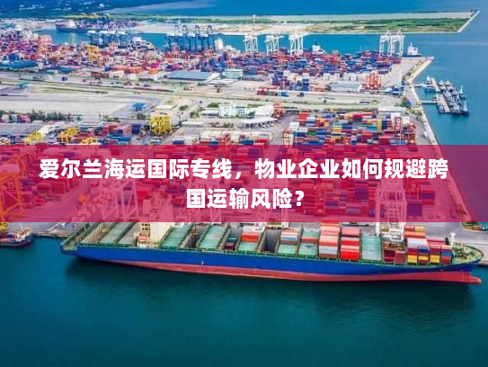 爱尔兰海运国际专线，物业企业如何规避跨国运输风险？
