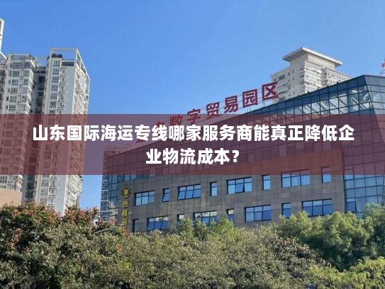 山东国际海运专线哪家服务商能真正降低企业物流成本？