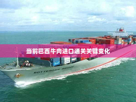 当前巴西牛肉进口通关关键变化 当前巴西牛肉进口通关关键变化