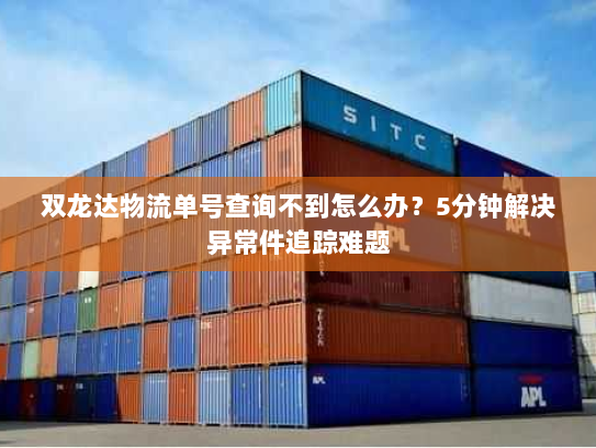 双龙达物流单号查询不到怎么办?5分钟解决异常件追踪难题 双龙达物流单号查询不到怎么办?5分钟解决异常件追踪难题