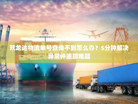 双龙达物流单号查询不到怎么办？5分钟解决异常件追踪难题