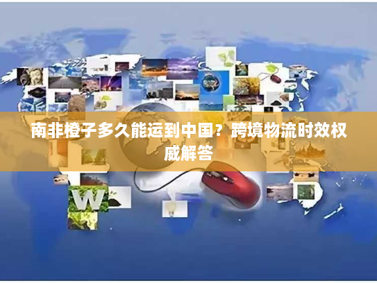 南非橙子多久能运到中国？跨境物流时效权威解答