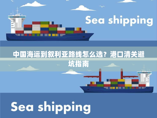 中国海运到叙利亚路线怎么选？港口清关避坑指南