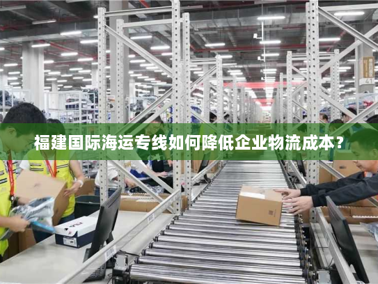 福建国际海运专线如何降低企业物流成本？