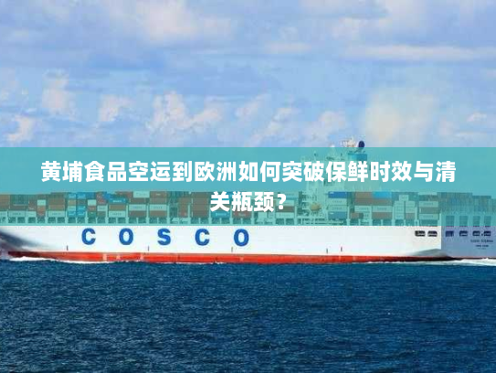 黄埔食品空运到欧洲如何突破保鲜时效与清关瓶颈? 黄埔食品空运到欧洲如何突破保鲜时效与清关瓶颈?