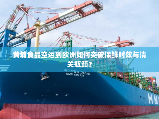 黄埔食品空运到欧洲如何突破保鲜时效与清关瓶颈? 黄埔食品空运到欧洲如何突破保鲜时效与清关瓶颈?