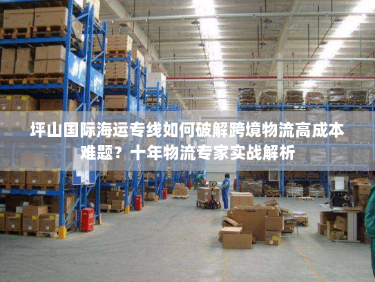 坪山国际海运专线如何破解跨境物流高成本难题？十年物流专家实战解析