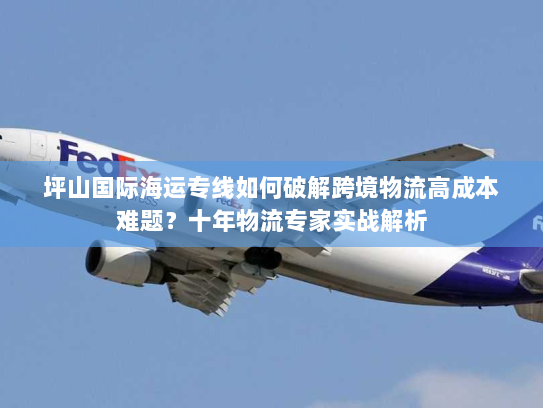 坪山国际海运专线如何破解跨境物流高成本难题？十年物流专家实战解析