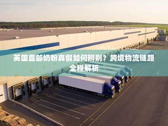 英国直邮奶粉真假如何辨别？跨境物流链路全程解析