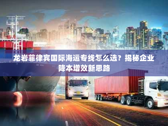 龙岩菲律宾国际海运专线怎么选？揭秘企业降本增效新思路