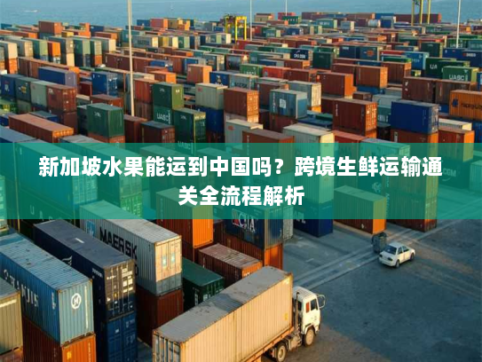 新加坡水果能运到中国吗？跨境生鲜运输通关全流程解析