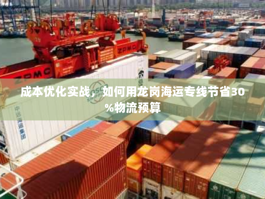 成本优化实战，如何用龙岗海运专线节省30%物流预算