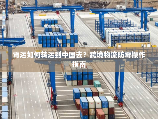 霉运如何转运到中国去?跨境物流防霉操作指南 霉运如何转运到中国去?跨境物流防霉操作指南