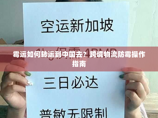 霉运如何转运到中国去?跨境物流防霉操作指南 霉运如何转运到中国去?跨境物流防霉操作指南