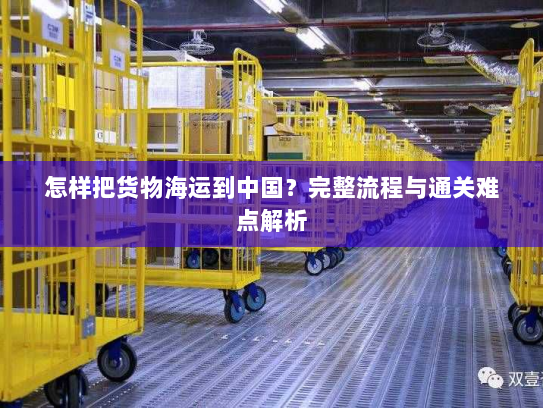 怎样把货物海运到中国？完整流程与通关难点解析