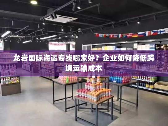 龙岩国际海运专线哪家好？企业如何降低跨境运输成本