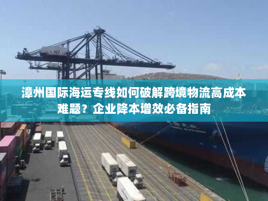 漳州国际海运专线如何破解跨境物流高成本难题？企业降本增效必备指南