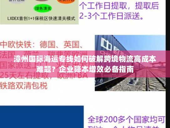 漳州国际海运专线如何破解跨境物流高成本难题？企业降本增效必备指南