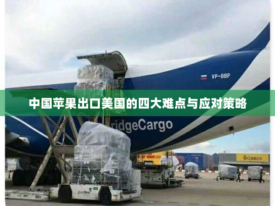 中国苹果出口美国的四大难点与应对策略