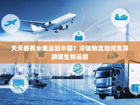天天都有水果运到中国?冷链物流如何支撑跨境生鲜运输 天天都有水果运到中国?冷链物流如何支撑跨境生鲜运输