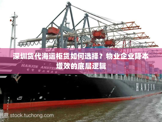 深圳货代海运柜货如何选择？物业企业降本增效的底层逻辑