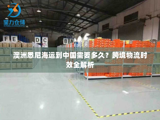 澳洲悉尼海运到中国需要多久？跨境物流时效全解析