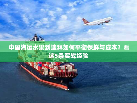 中国海运水果到迪拜如何平衡保鲜与成本?看这5条实战经验